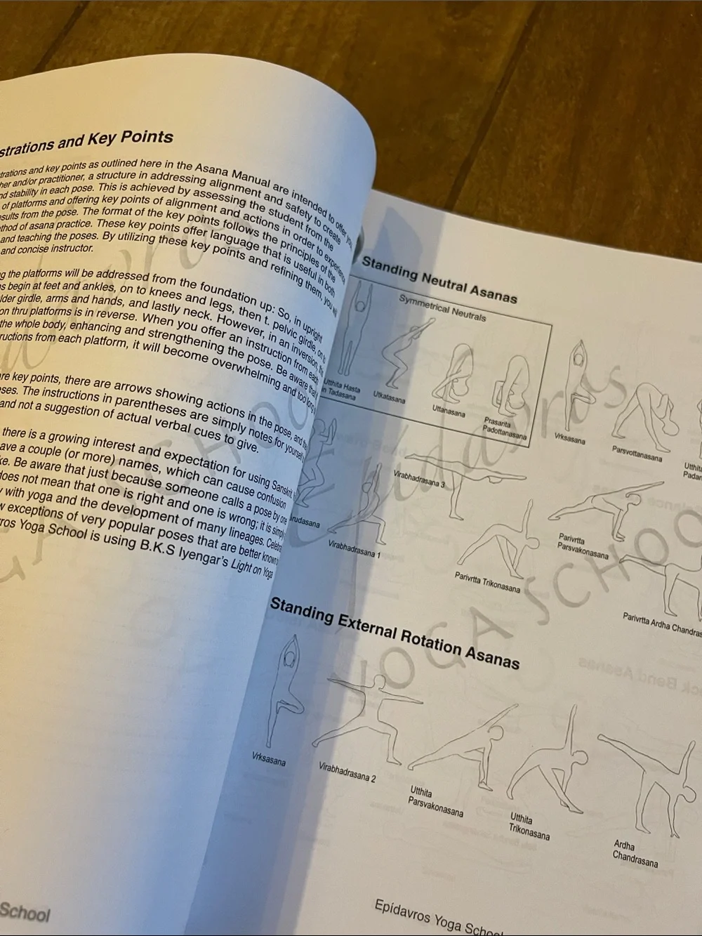 Yoga School Notes, Therapeutic Yoga, Trauma recovery, Anatomy, Asana Manual